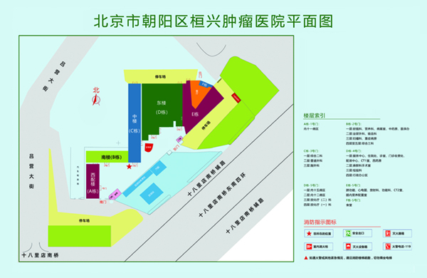 插逼逼啊啊啊内射摸胸视频北京市朝阳区桓兴肿瘤医院平面图